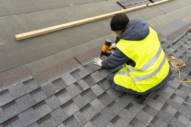Best Roof Replacement Cost  in Johnson Lane, NV