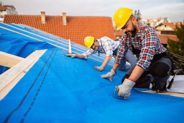 Best Flat Roof Repair Services  in Johnson Lane, NV