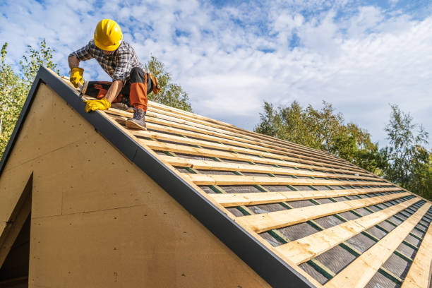 Best Roof Repair Services  in Johnson Lane, NV