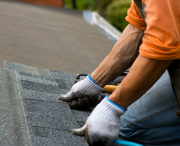 Best Roof Gutter Cleaning  in Johnson Lane, NV