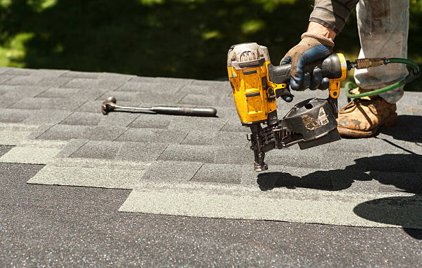 Best Roof Maintenance Services  in Johnson Lane, NV