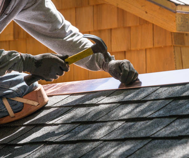 Best Roof Maintenance Services  in Johnson Lane, NV